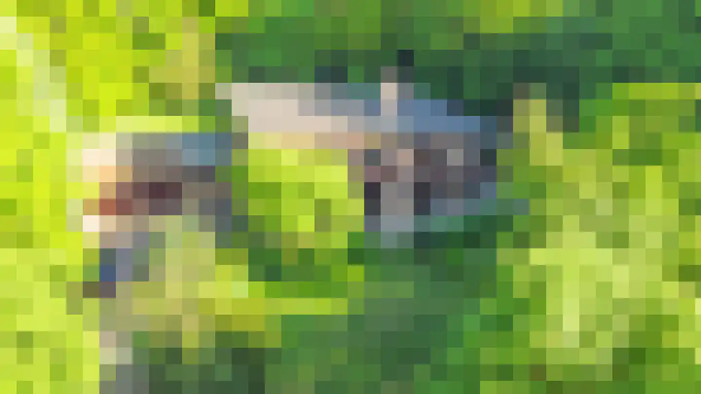 Emmabaan 12 a Koewacht thumbnail 47