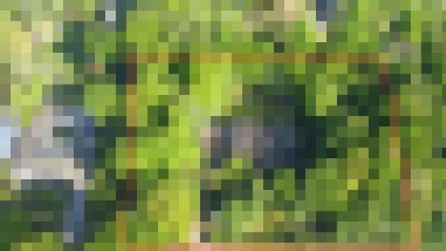 Emmabaan 12 a Koewacht thumbnail 49