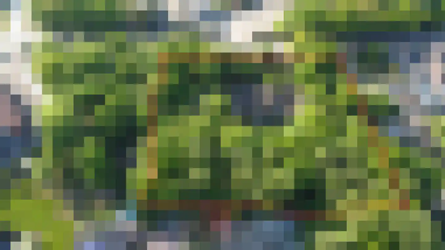 Emmabaan 12 a Koewacht thumbnail 50
