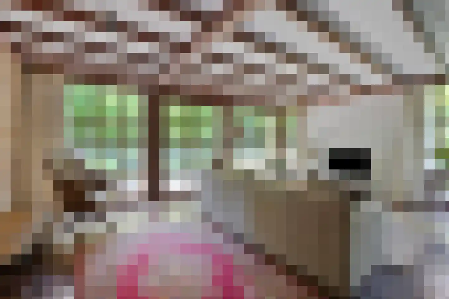Emmabaan 12 a Koewacht thumbnail 8