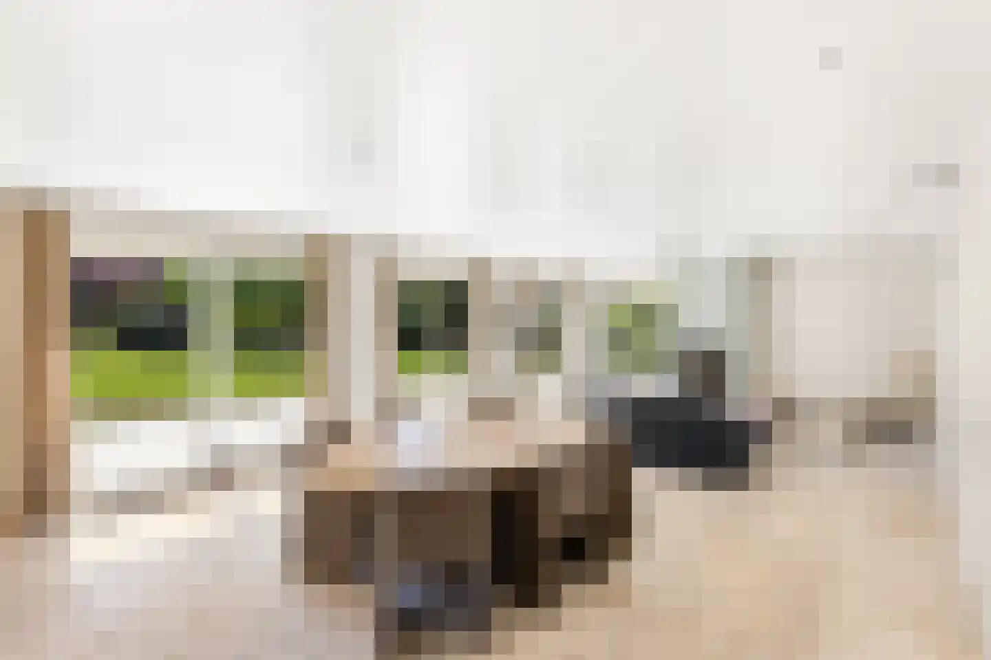 Emmabaan 26 Koewacht thumbnail 13