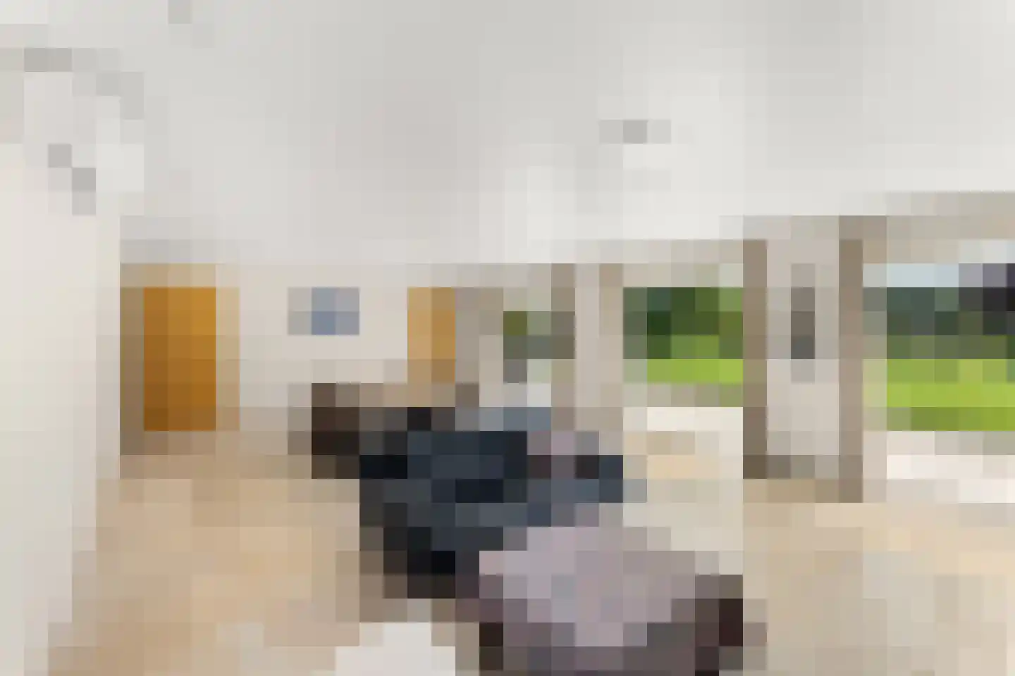 Emmabaan 26 Koewacht thumbnail 14