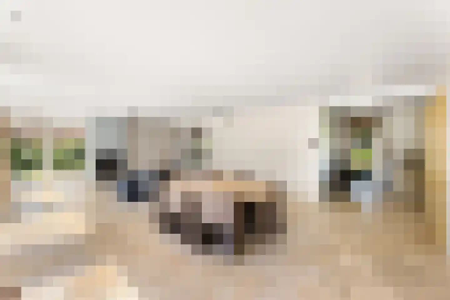Emmabaan 26 Koewacht thumbnail 20