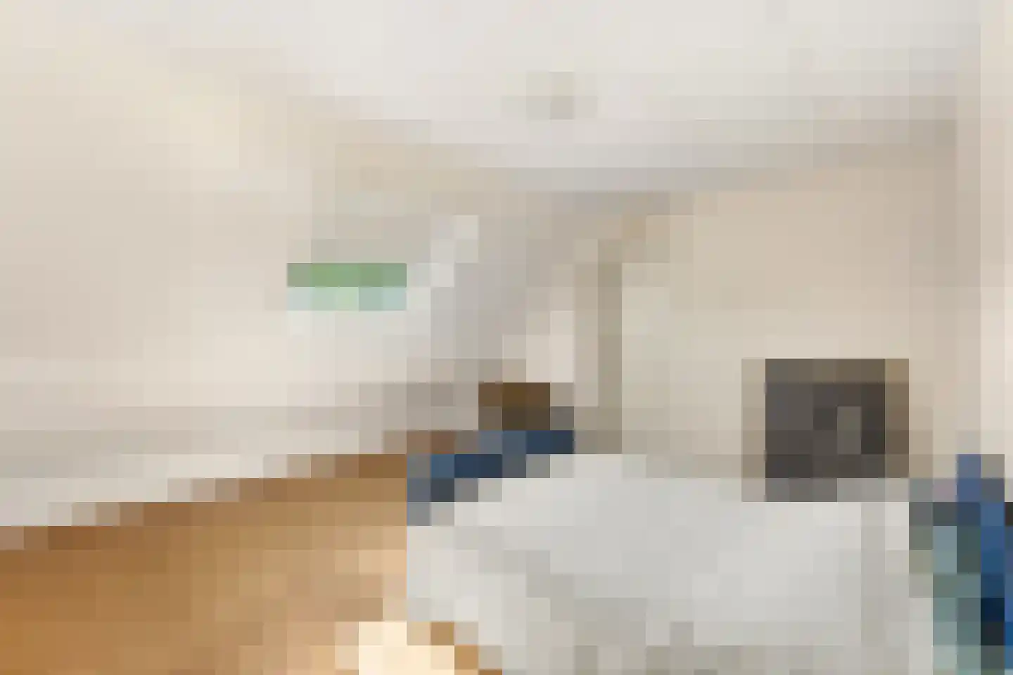 Emmabaan 26 Koewacht thumbnail 29