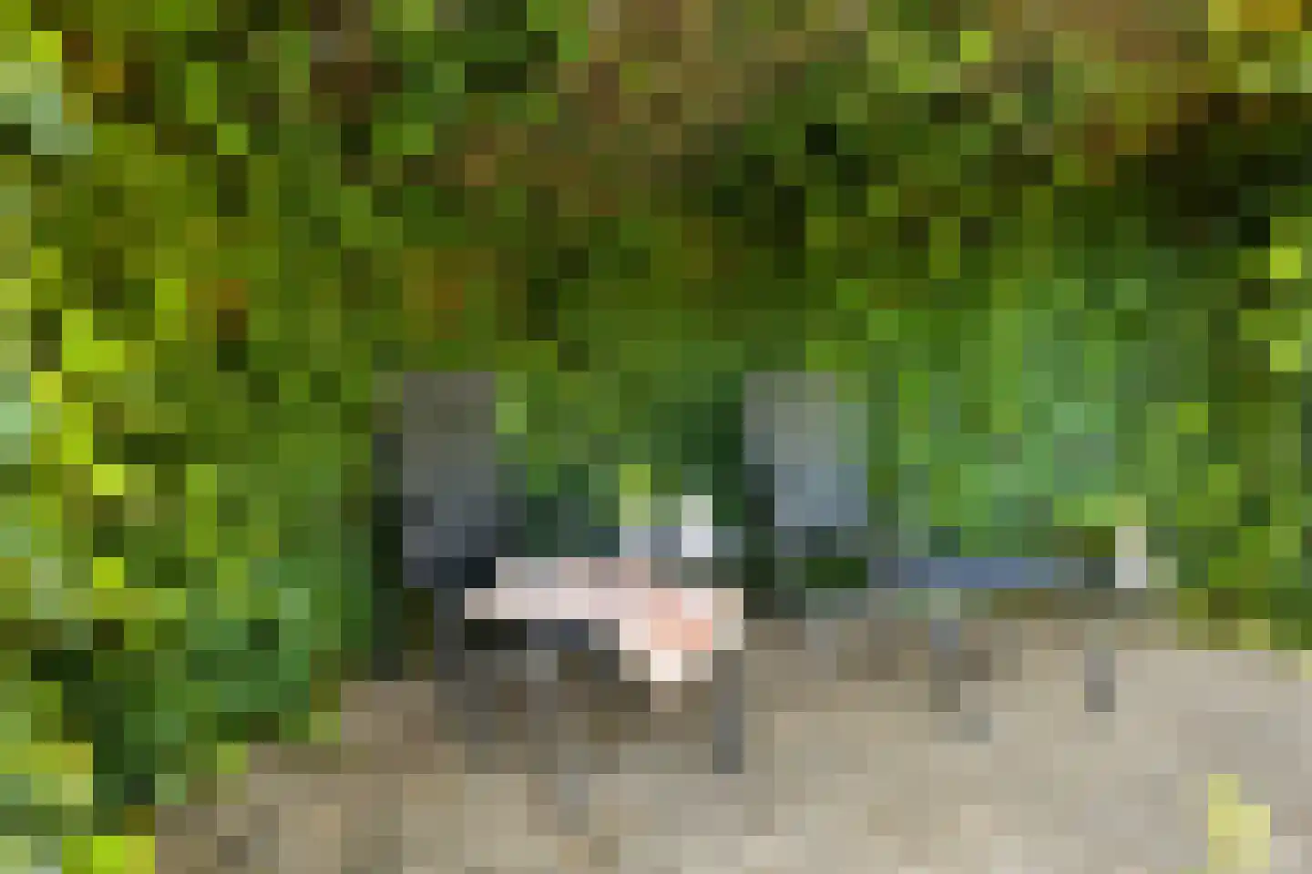 Emmabaan 26 Koewacht thumbnail 41