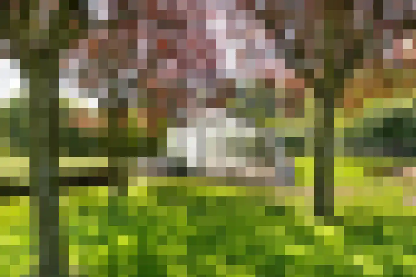 Emmabaan 26 Koewacht thumbnail 43