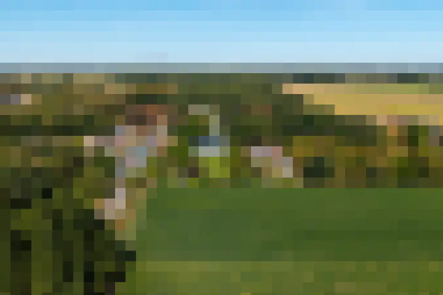 Emmabaan 26 Koewacht thumbnail 7