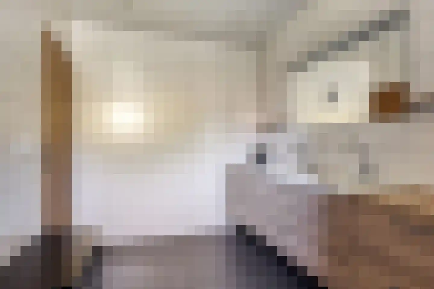 Emmabaan 59 Koewacht thumbnail 28