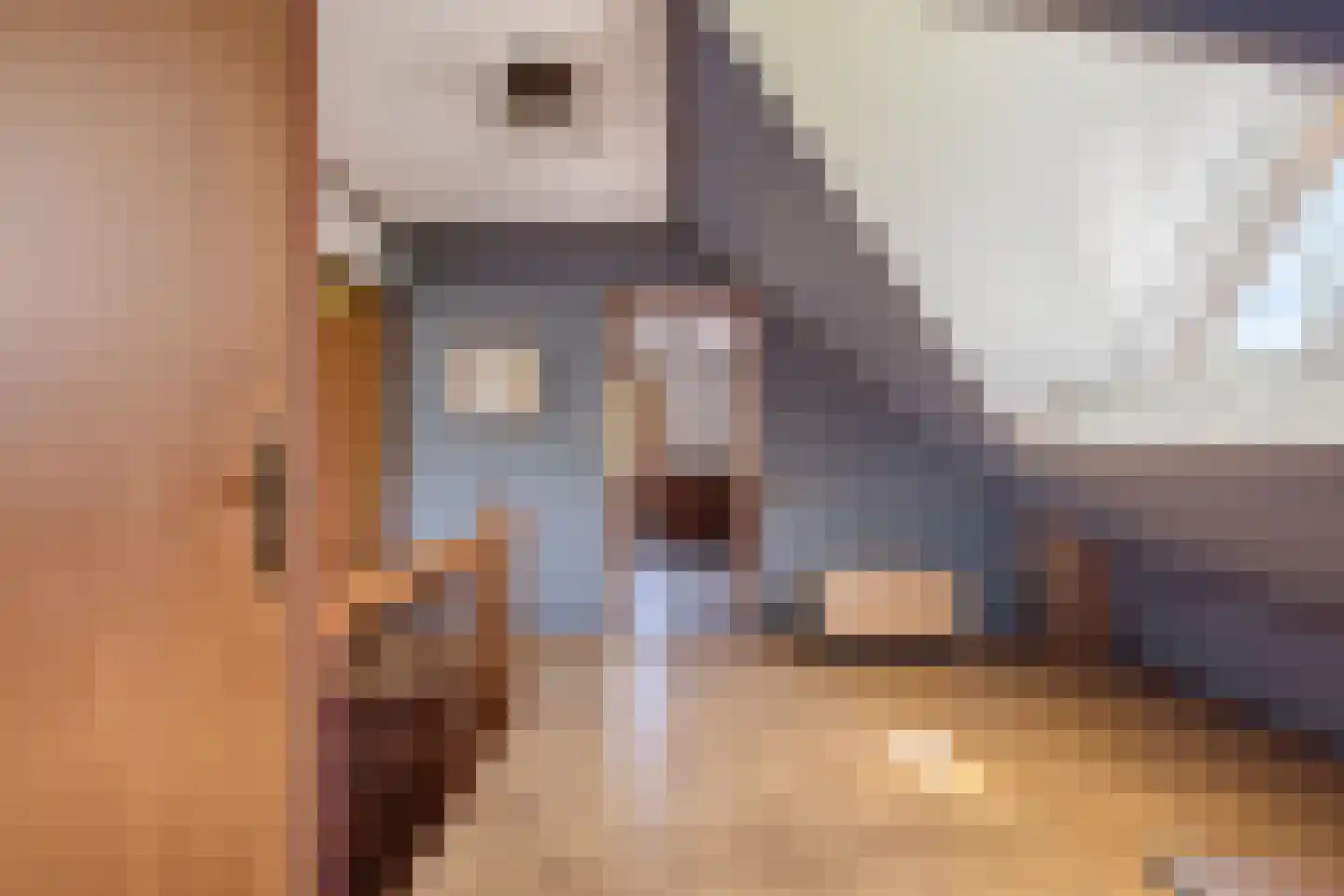 Emmabaan 59 Koewacht thumbnail 31
