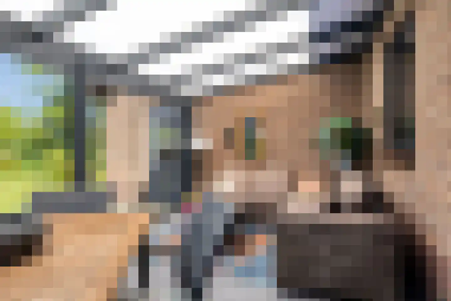 Emmabaan 59 Koewacht thumbnail 39