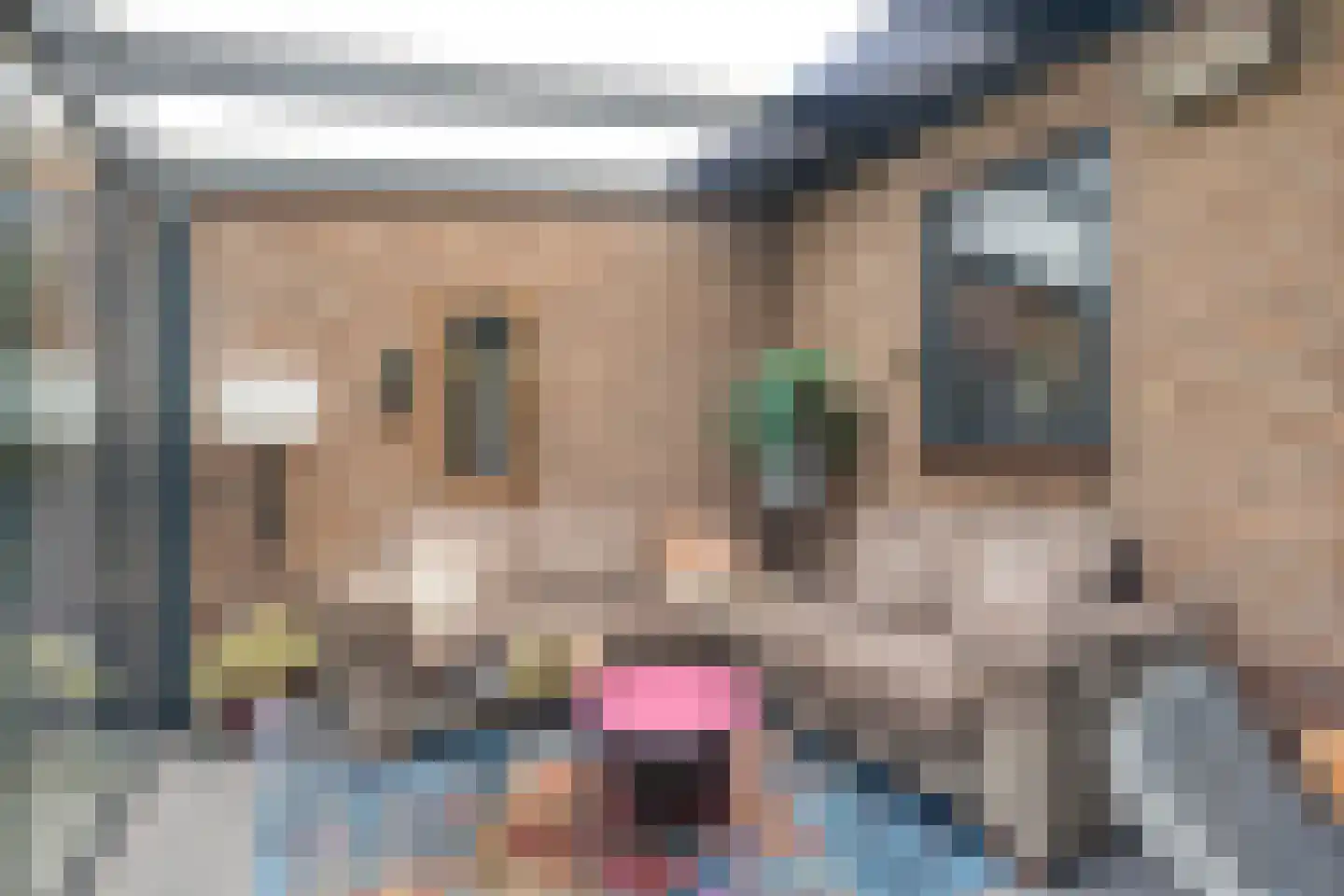 Emmabaan 59 Koewacht thumbnail 40