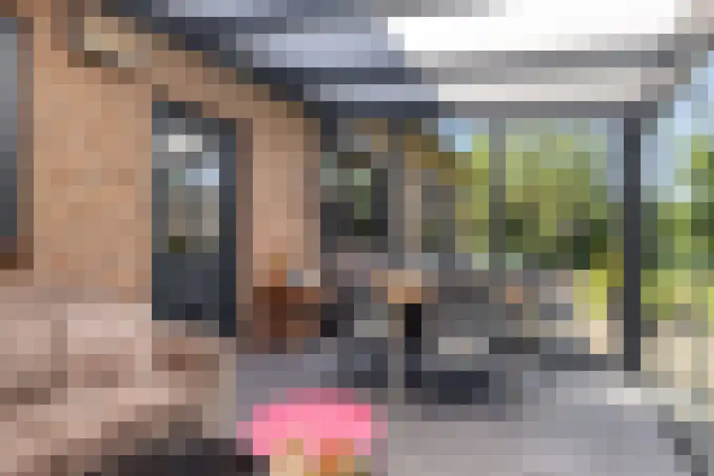 Emmabaan 59 Koewacht thumbnail 41
