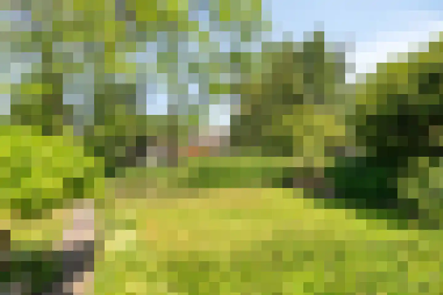 Emmabaan 59 Koewacht thumbnail 50