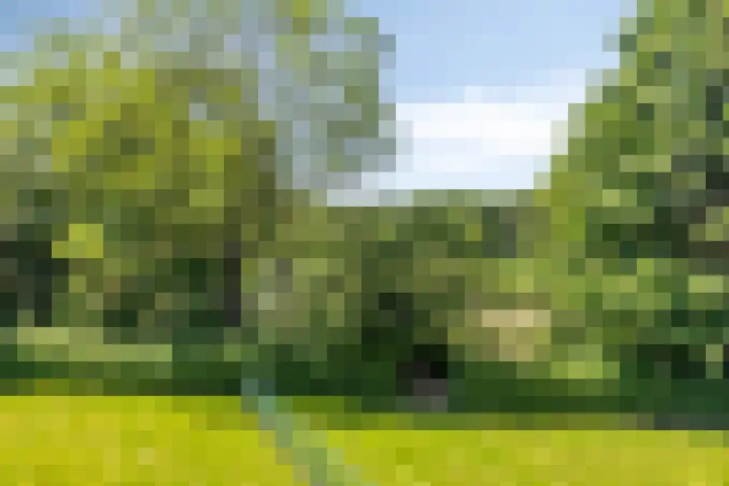 Emmabaan 59 Koewacht thumbnail 51