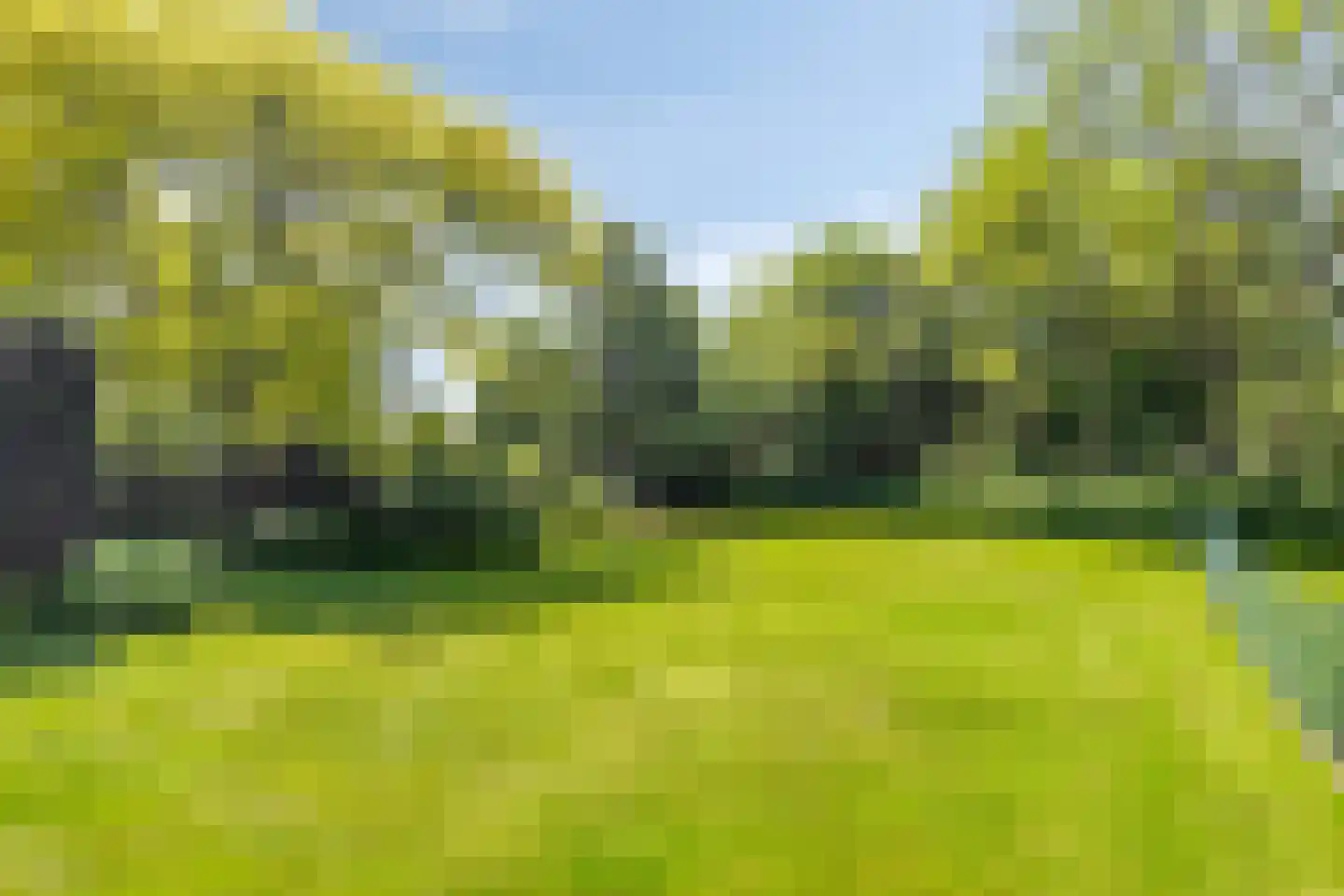Emmabaan 59 Koewacht thumbnail 52