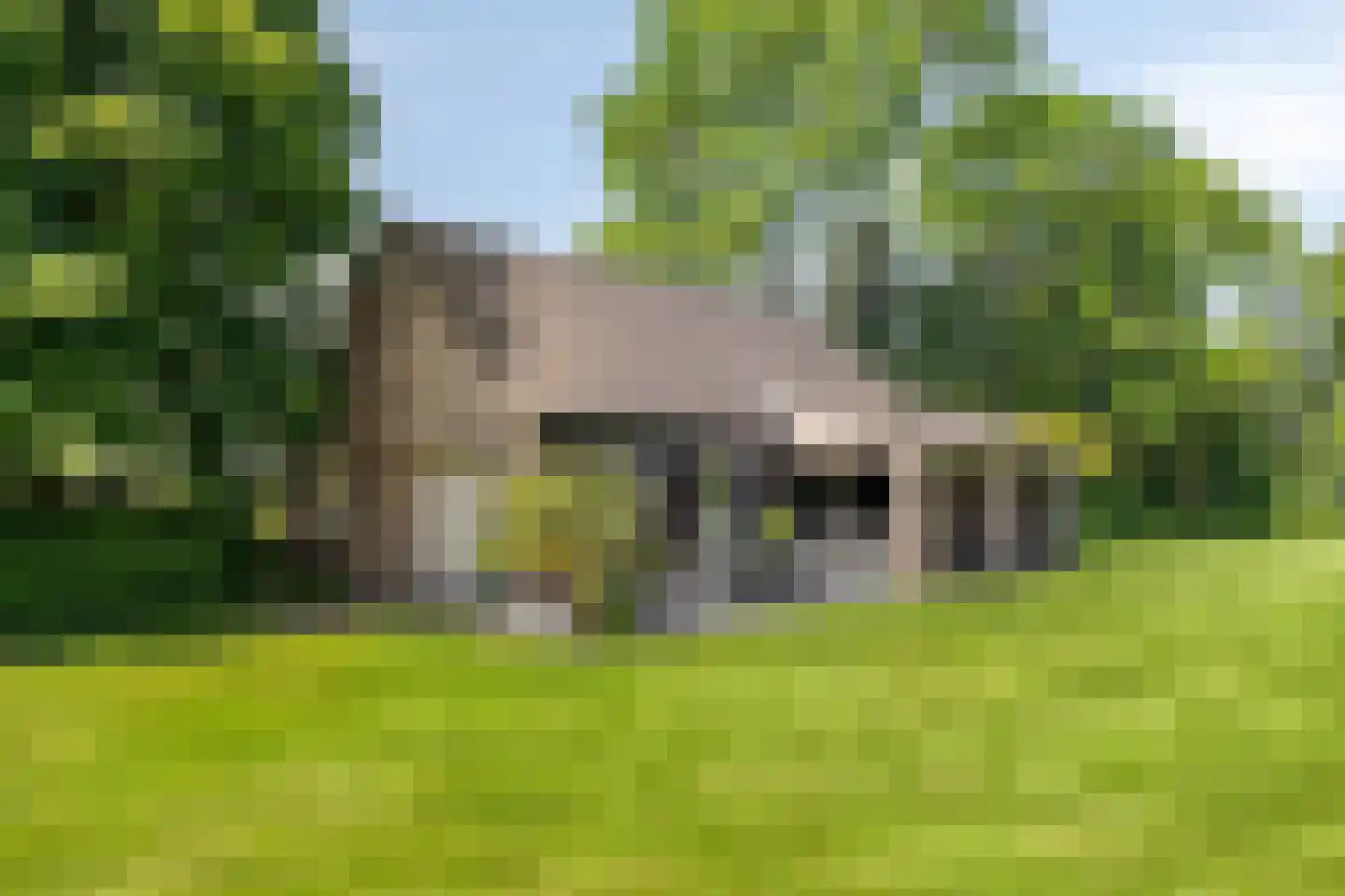 Emmabaan 59 Koewacht thumbnail 54