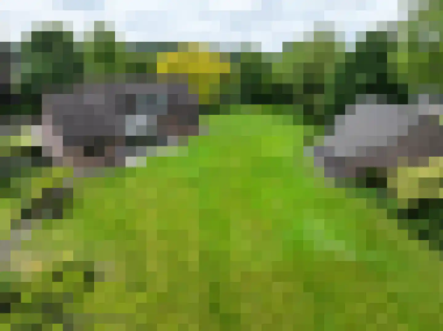 Emmabaan 59 Koewacht thumbnail 66