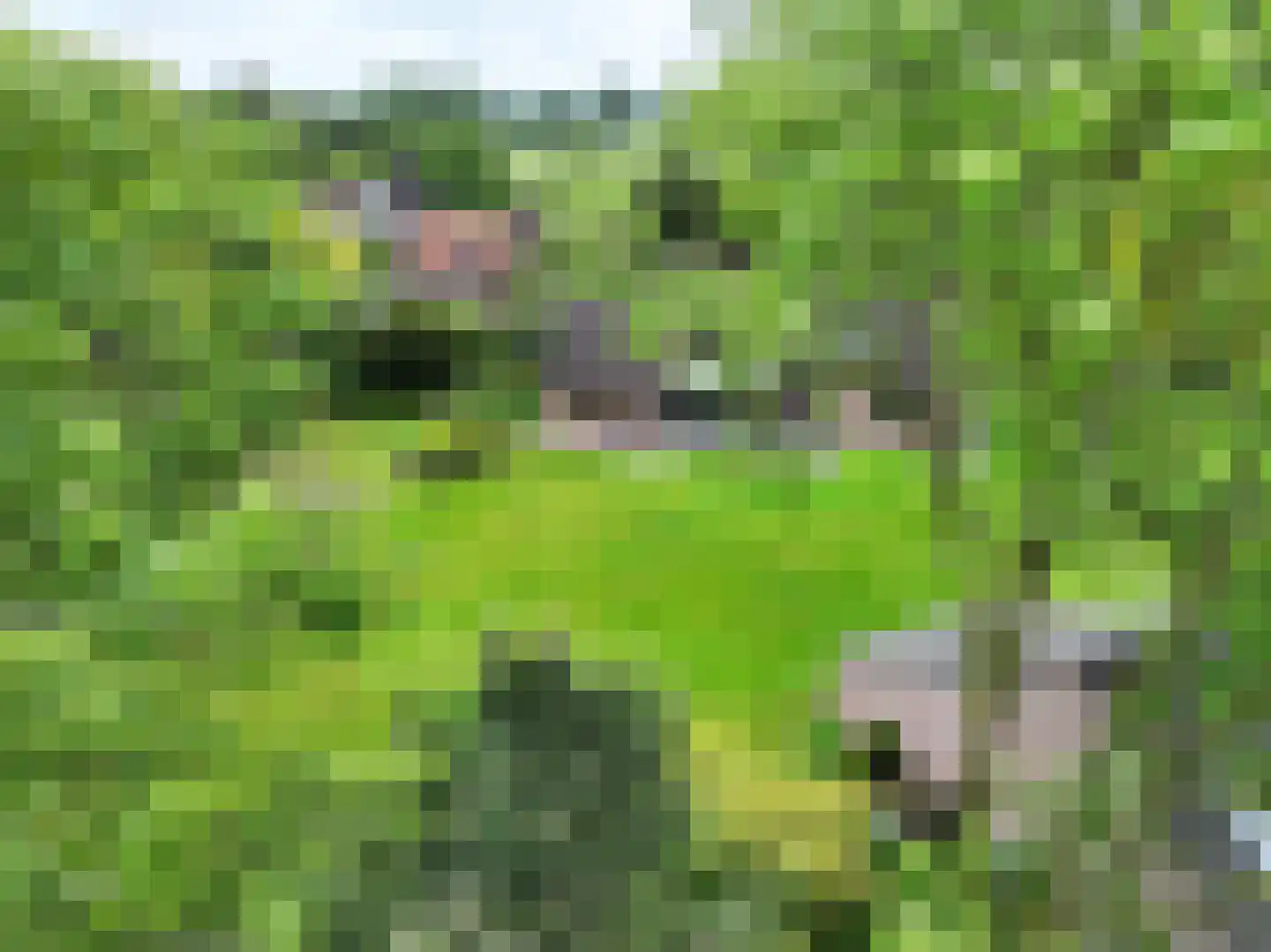 Emmabaan 59 Koewacht thumbnail 67