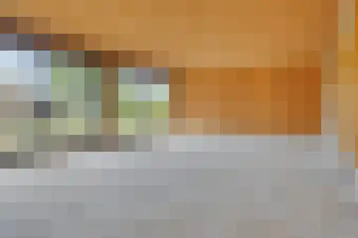 Emmabaan 62 Koewacht thumbnail 12