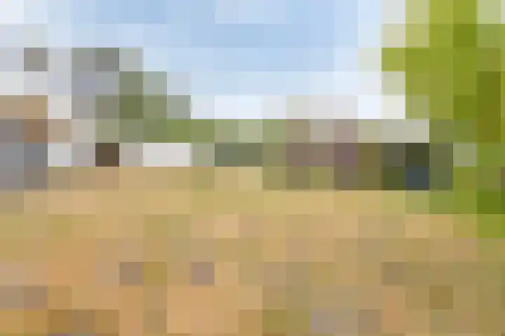 Emmabaan 62 Koewacht thumbnail 19