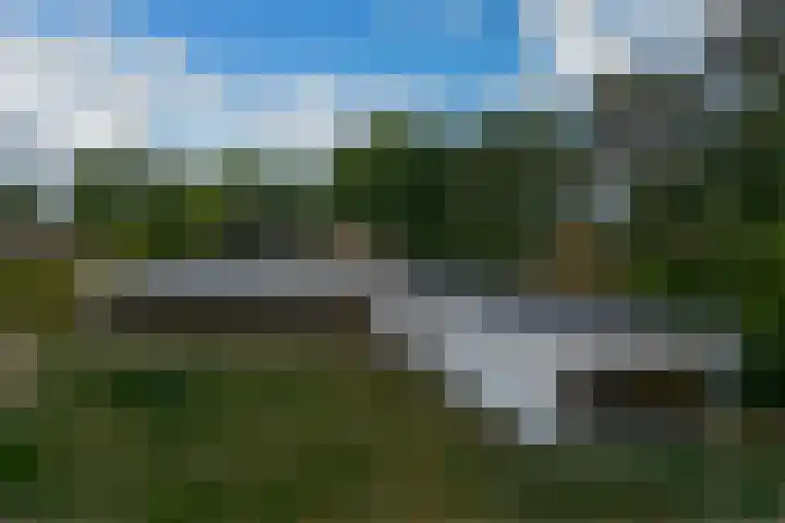 Emmabaan 62 Koewacht thumbnail 6