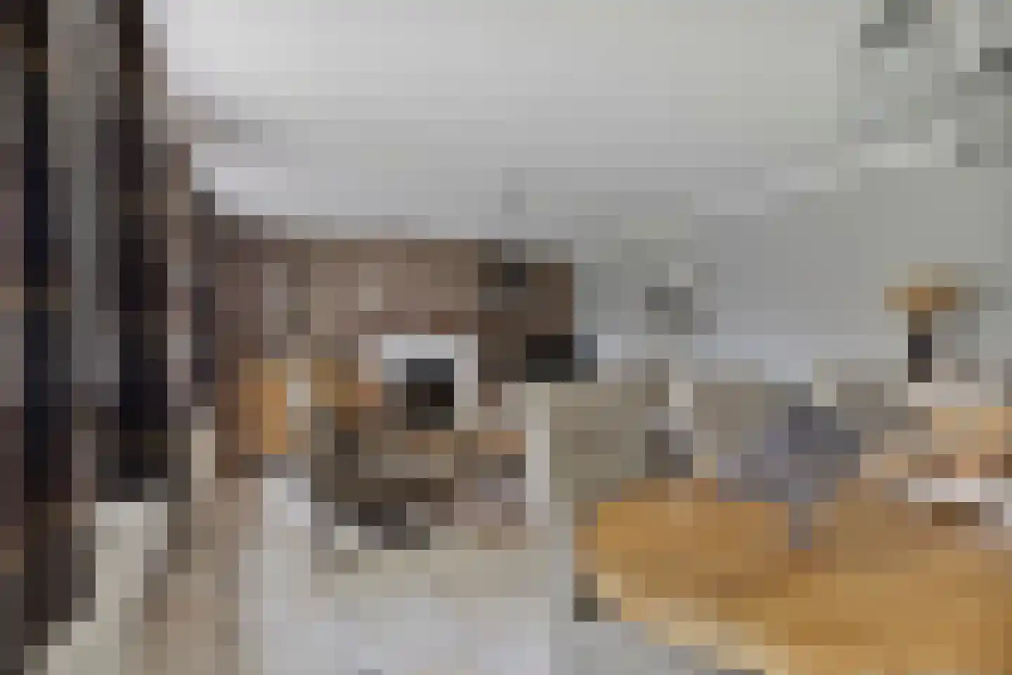 Emmabaan 65 Koewacht thumbnail 10