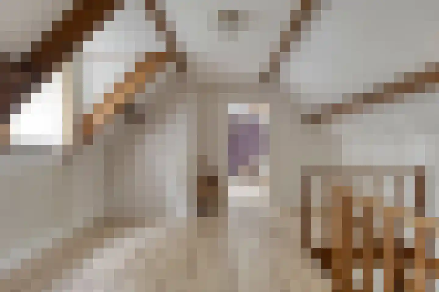 Emmabaan 65 Koewacht thumbnail 21