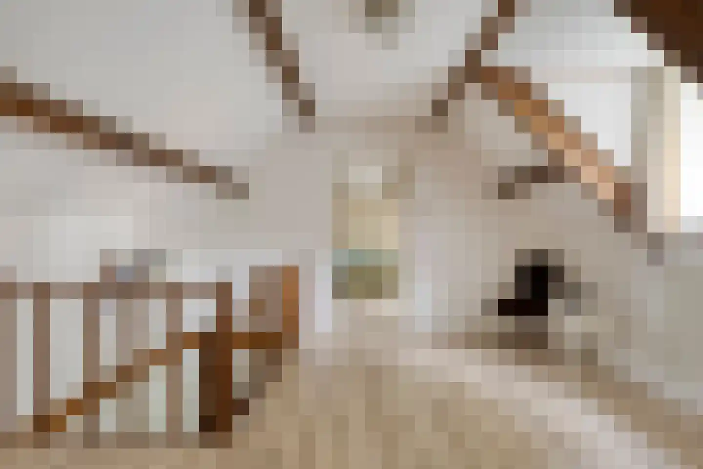 Emmabaan 65 Koewacht thumbnail 22