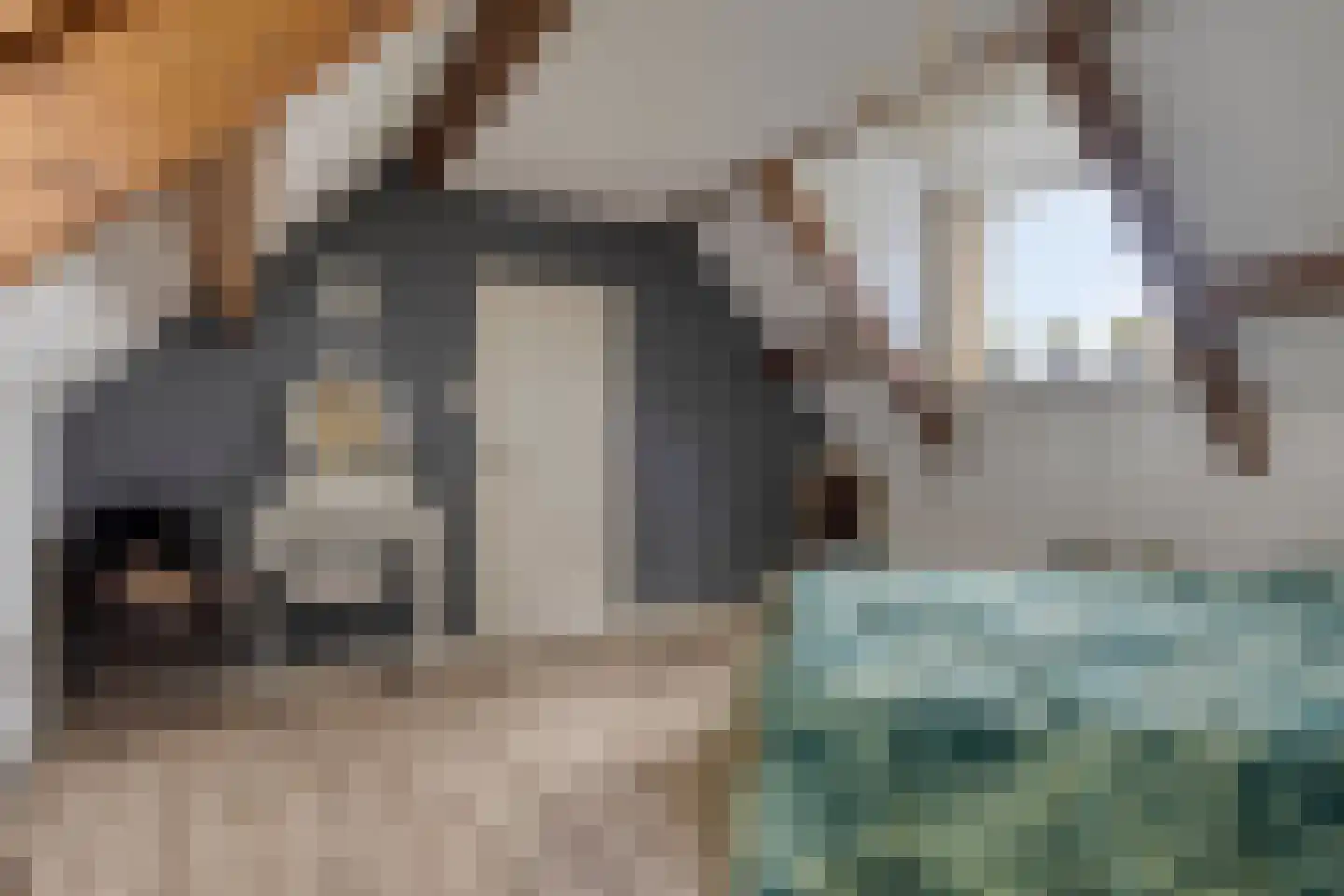 Emmabaan 65 Koewacht thumbnail 24