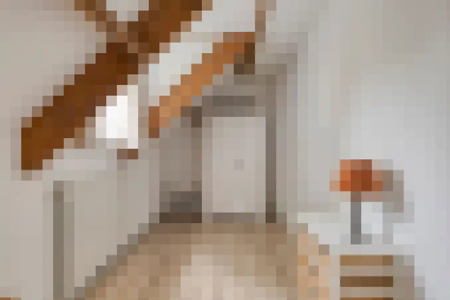 Emmabaan 65 Koewacht thumbnail 27