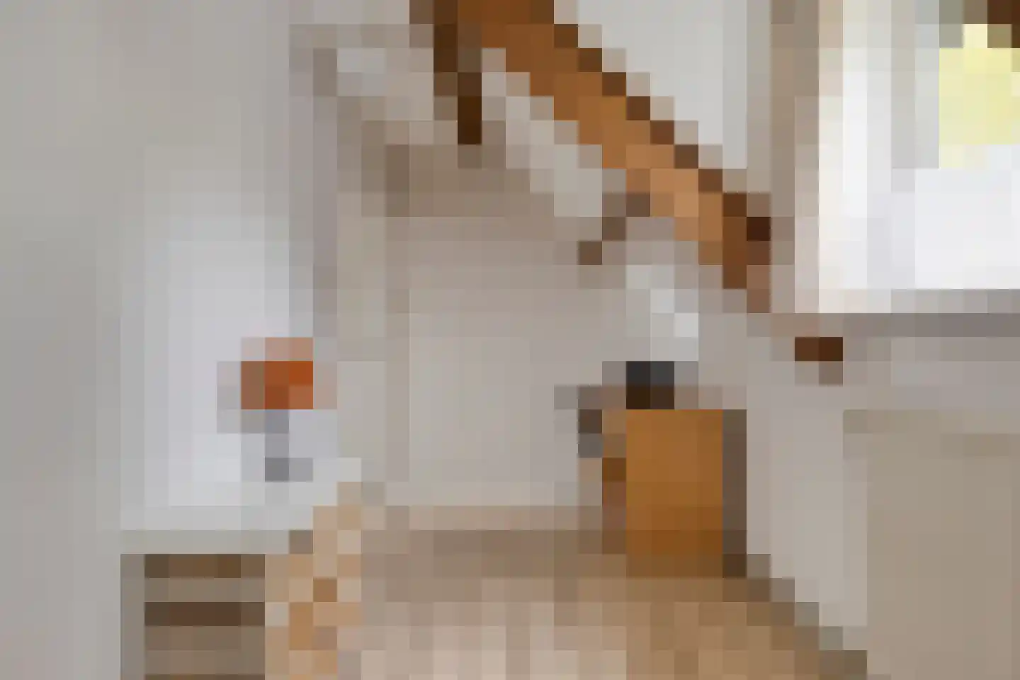 Emmabaan 65 Koewacht thumbnail 28