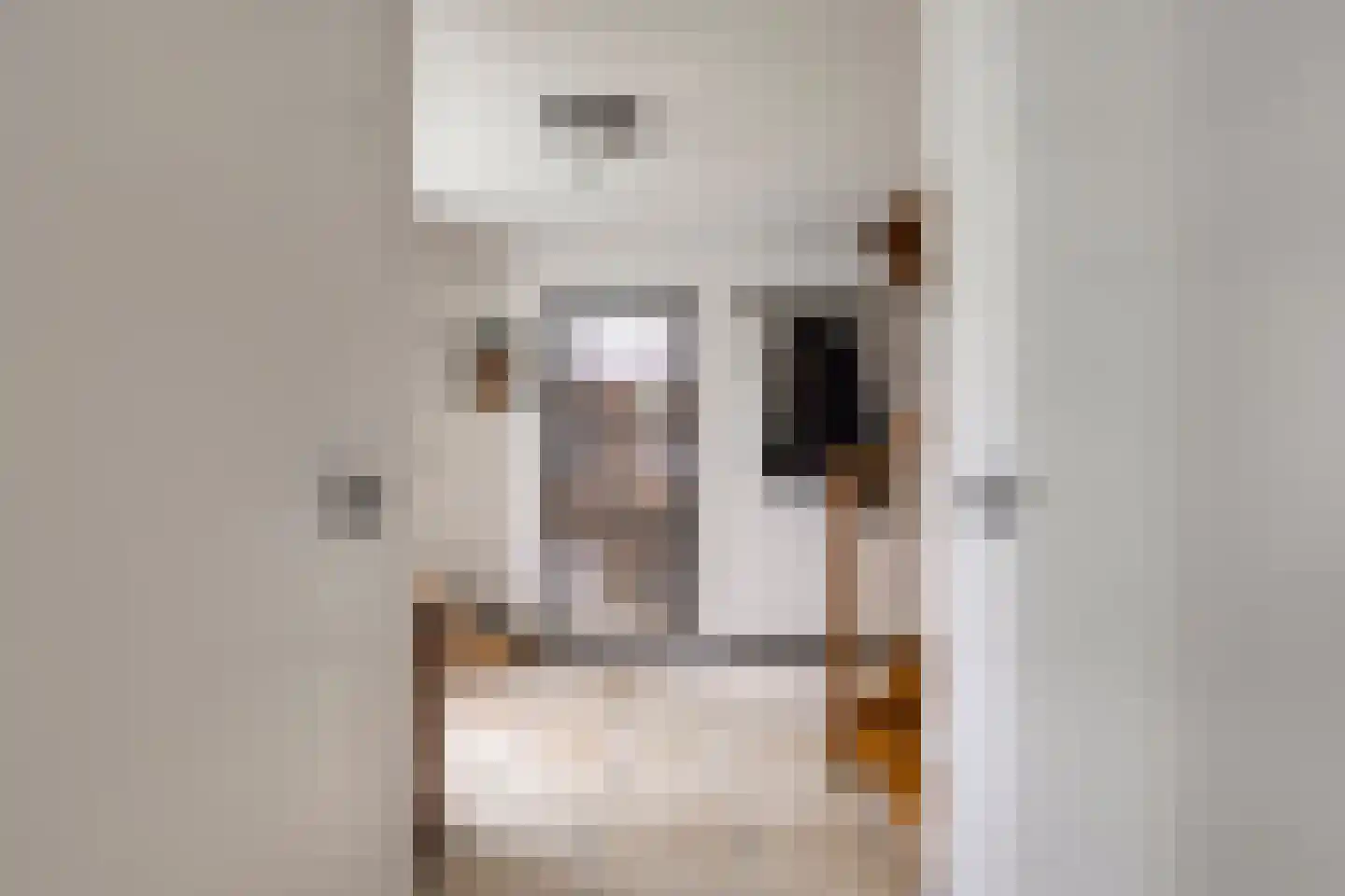 Emmabaan 65 Koewacht thumbnail 8