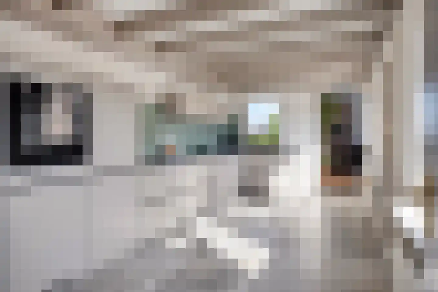 Emmabaan 96 Koewacht thumbnail 10