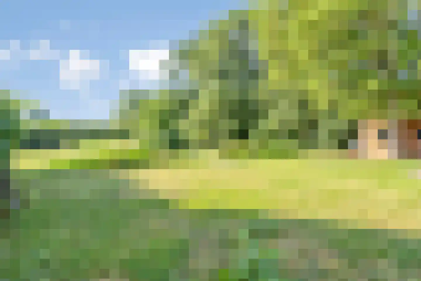 Emmabaan 96 Koewacht thumbnail 35