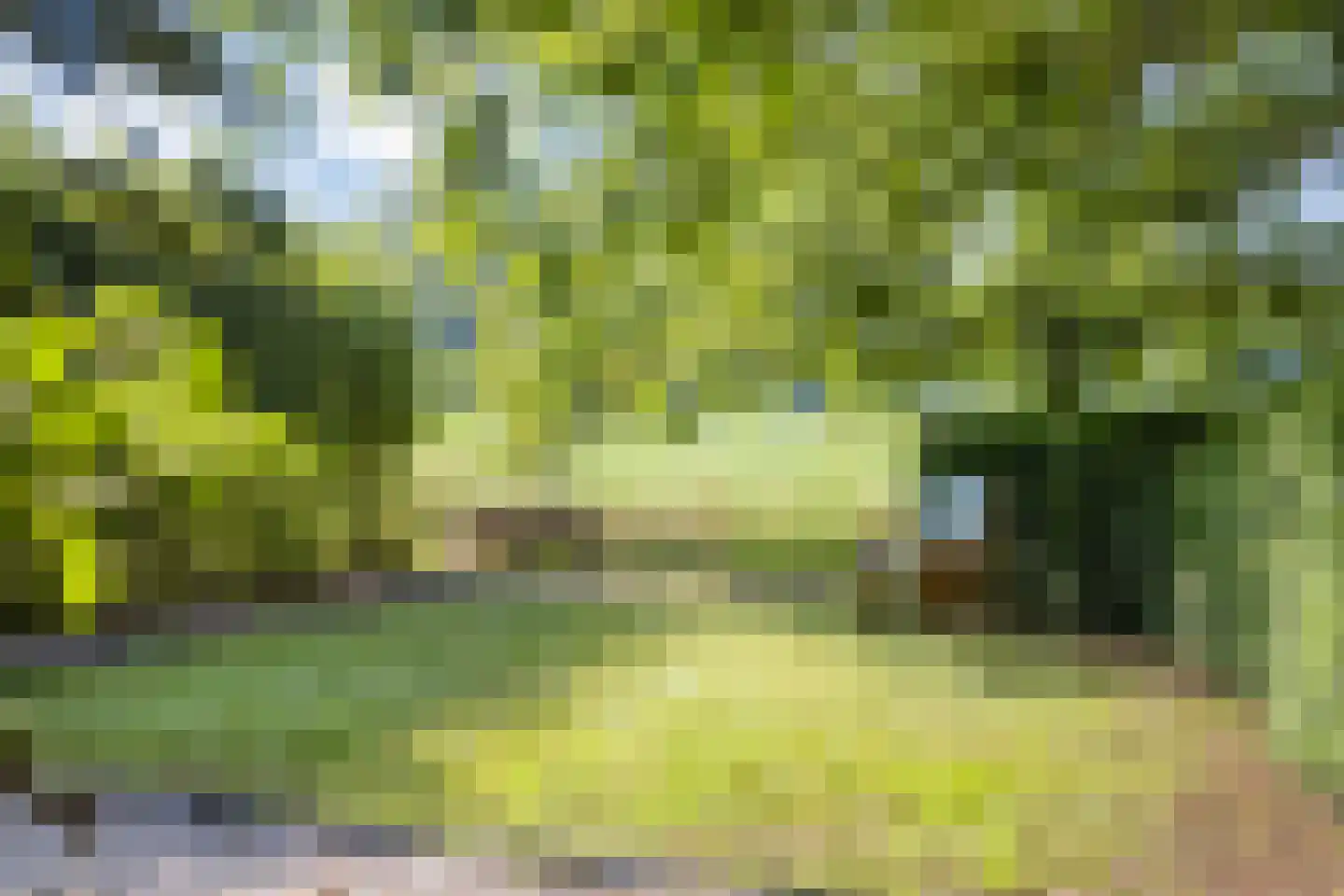 Emmabaan 96 Koewacht thumbnail 38