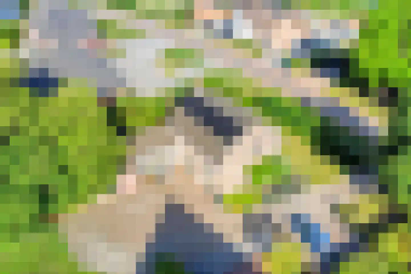 Emmabaan 96 Koewacht thumbnail 44