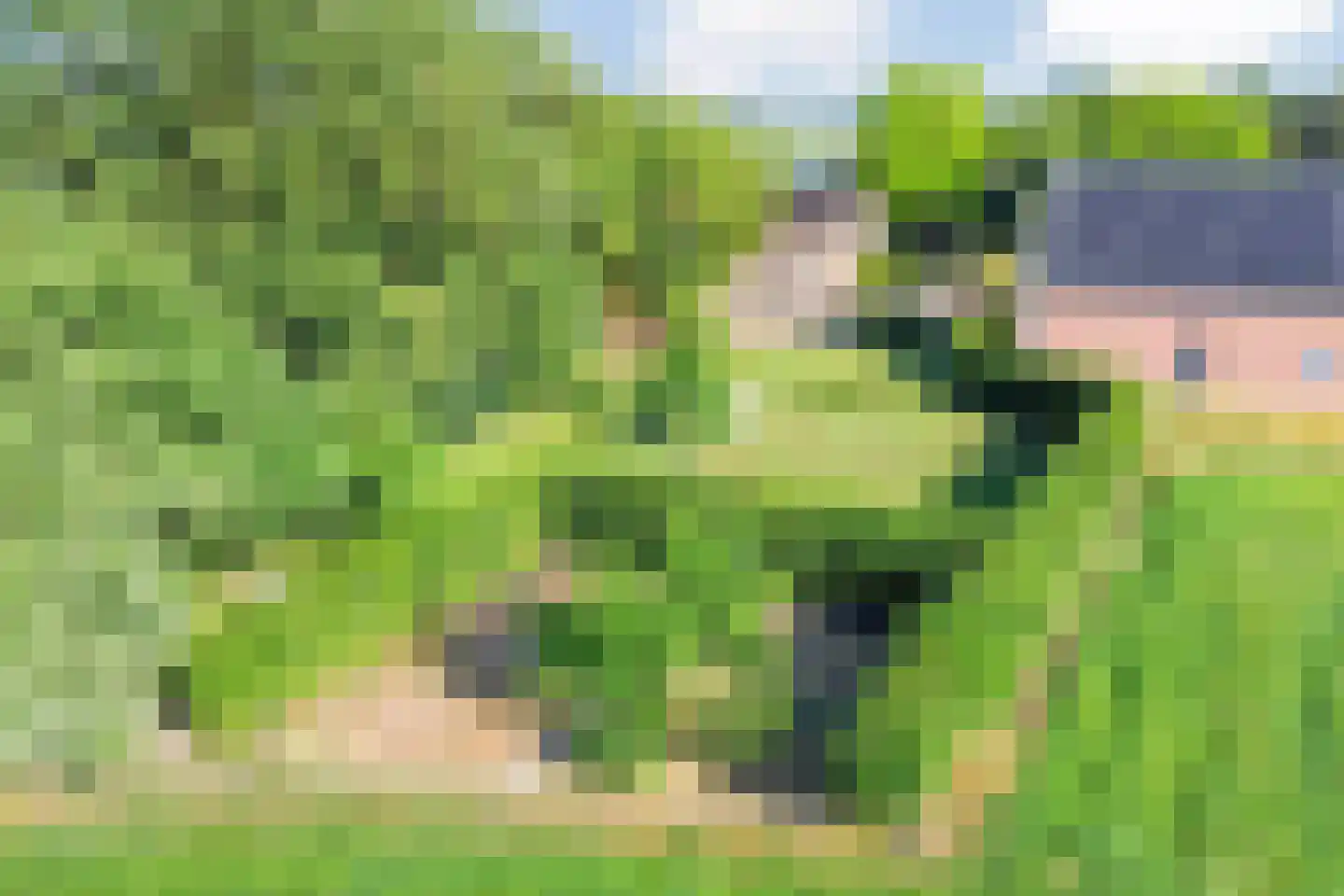 Emmabaan 96 Koewacht thumbnail 45