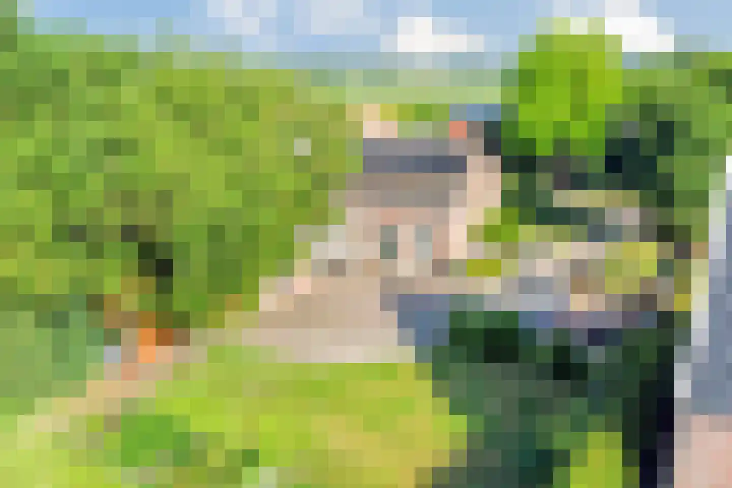 Emmabaan 96 Koewacht thumbnail 46