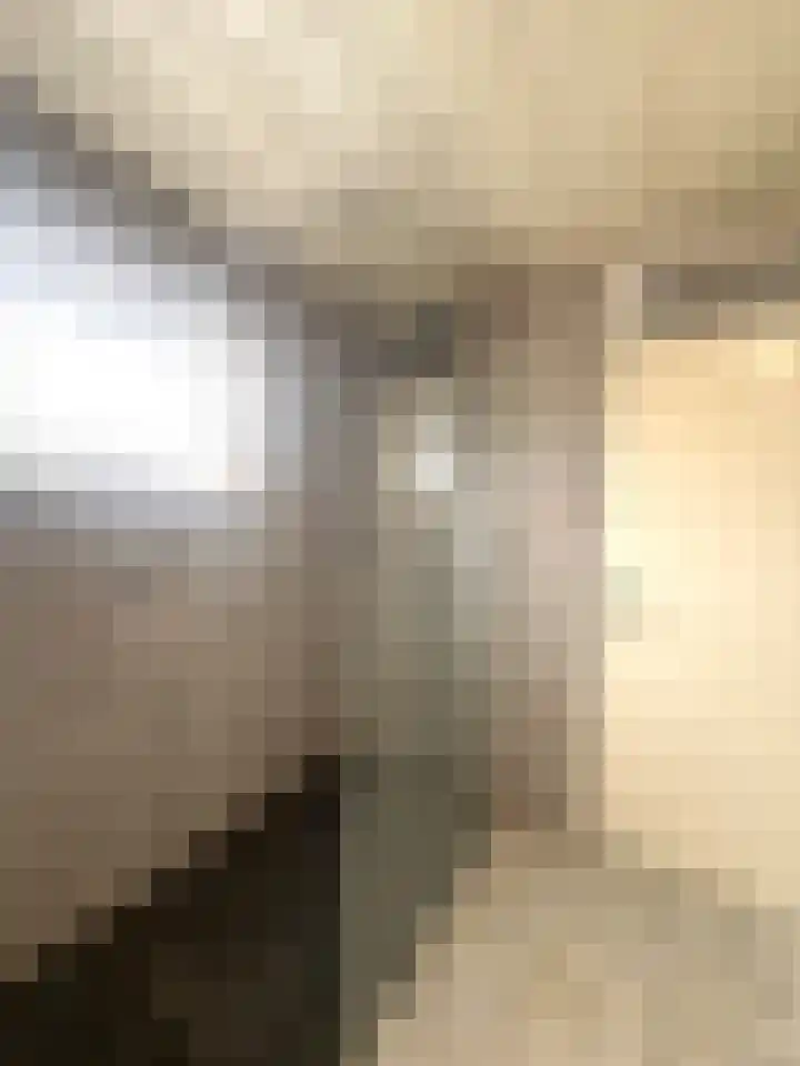 Emmabaan 98 Koewacht thumbnail 12