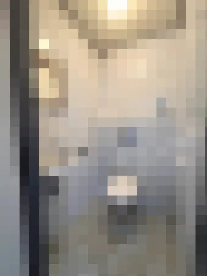 Emmabaan 98 Koewacht thumbnail 13