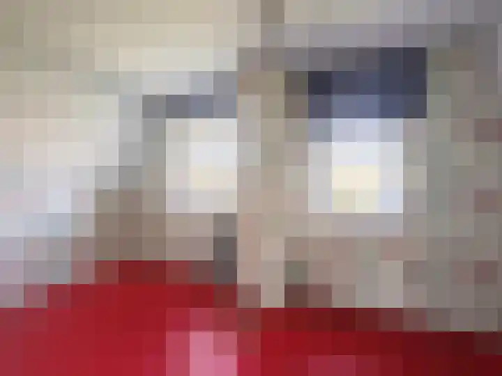 Emmabaan 98 Koewacht thumbnail 15
