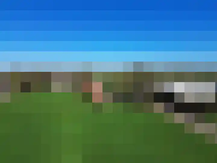 Emmabaan 98 Koewacht thumbnail 17
