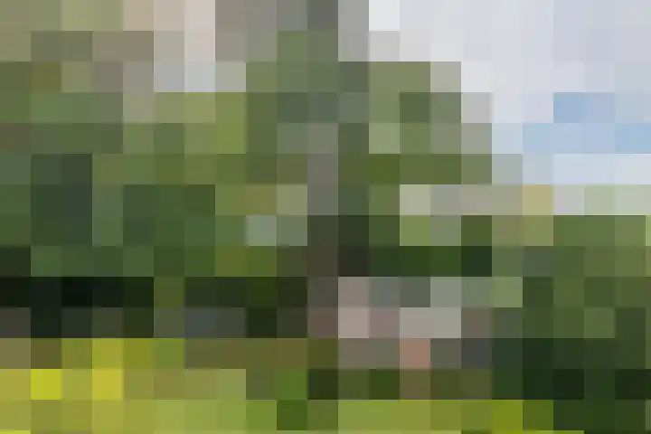 Emmaberg 16 Valkenburg thumbnail 27