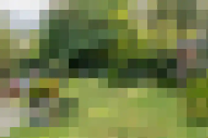 Emmaberg 16 Valkenburg thumbnail 30