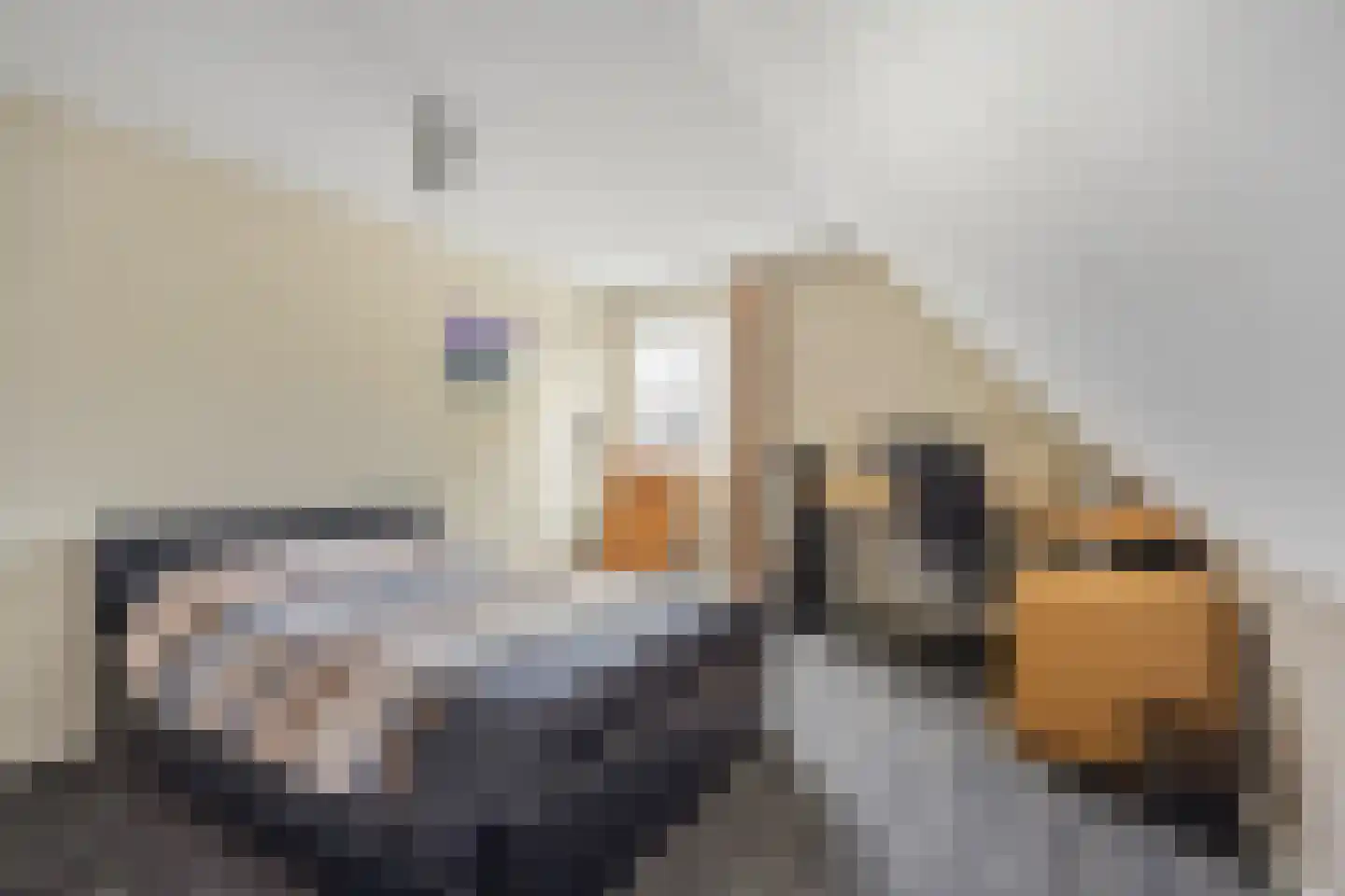 Emmaberg 16 Valkenburg thumbnail 38