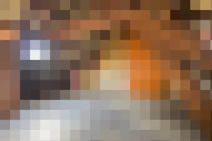 Emmaberg 6 Valkenburg thumbnail 27