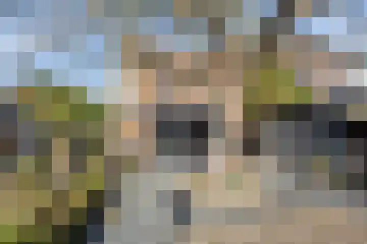 Emmaberg 6 Valkenburg thumbnail 39