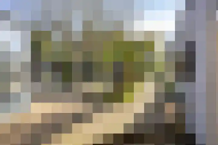 Emmaberg 6 Valkenburg thumbnail 41