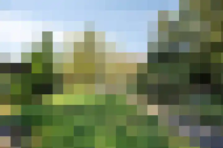 Emmaberg 6 Valkenburg thumbnail 42