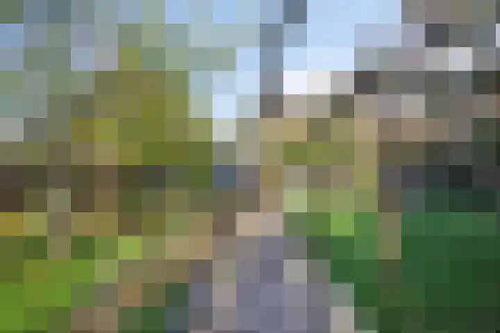 Emmaberg 6 Valkenburg thumbnail 43